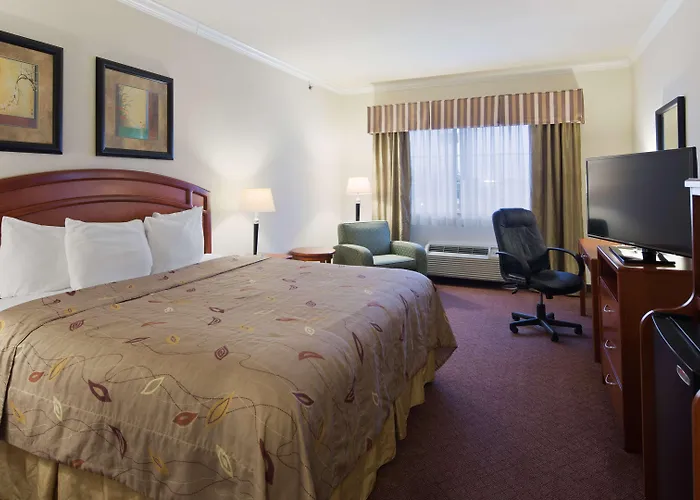 Discover the Best Accommodations Near Cleveland Hopkins Airport