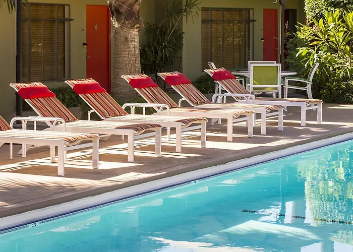 Best Accommodations: Top Hotels in Palm Springs for Your Next Visit